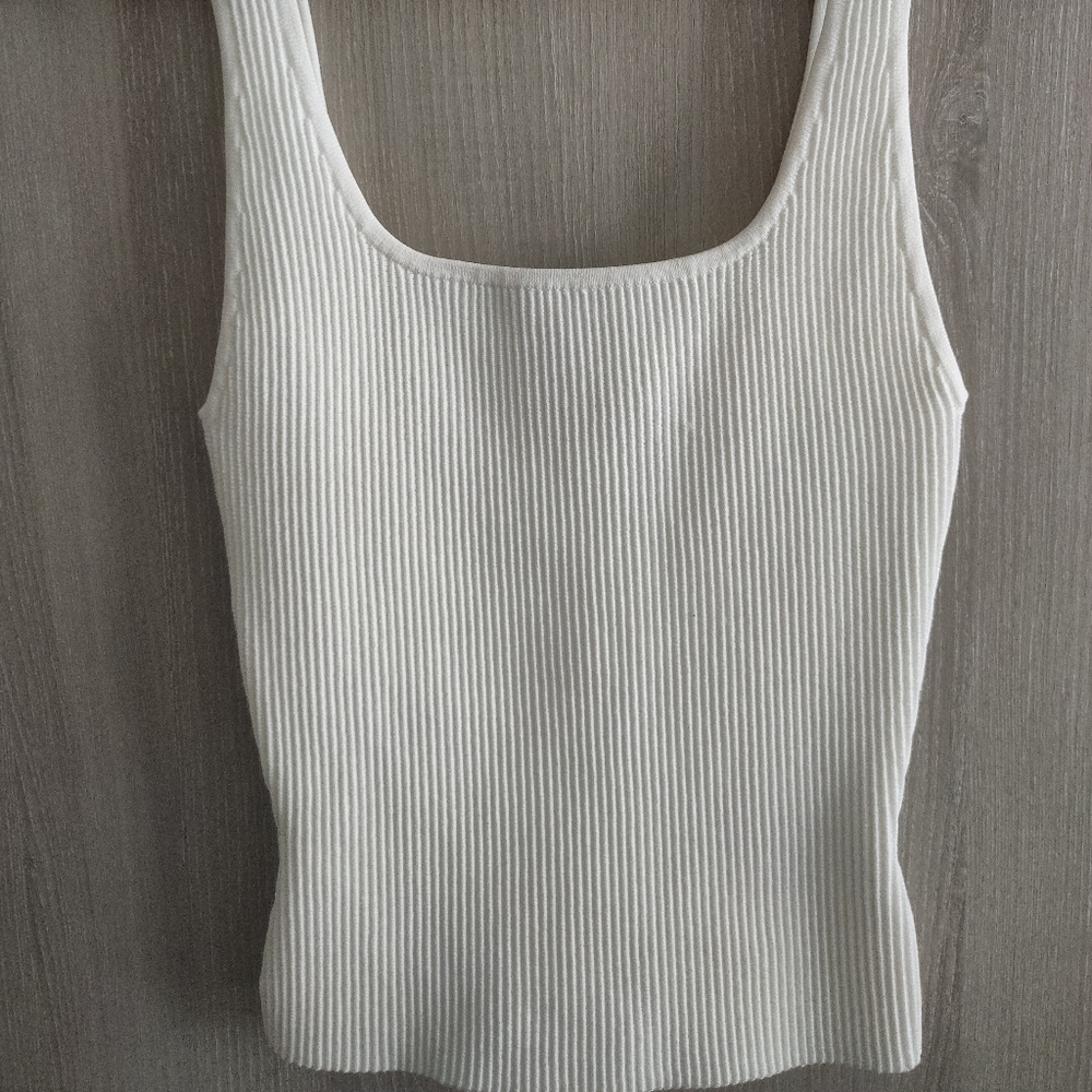 Aritzia Babaton Sculpt Knit Tank (Long length)